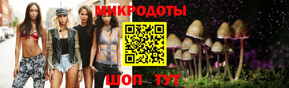 Спасск-Дальний  Псилоцибиновые грибы мицелий  Вход с VPN 