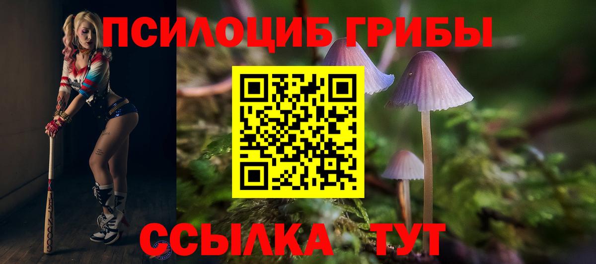 Галлюциногенные грибы мухоморы Спасск-Дальний